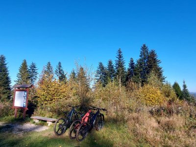 Galeria strona główna – Zdjęcie 4