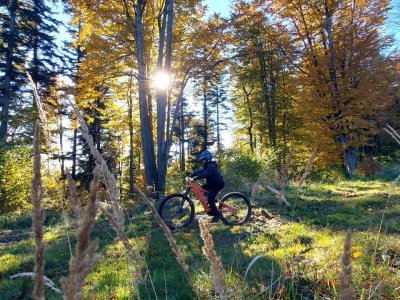 Galeria strona główna – Zdjęcie 11