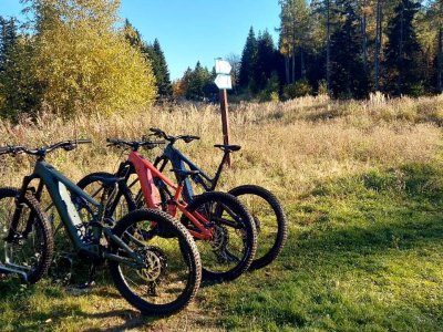 Galeria strona główna – Zdjęcie 16