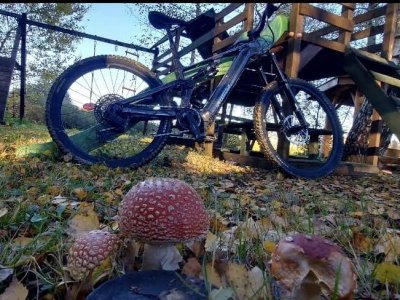 Galeria strona główna – Zdjęcie 24