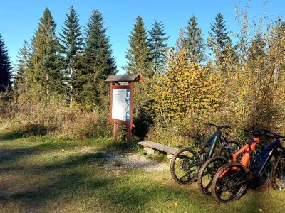 Galeria strona główna – Zdjęcie 25