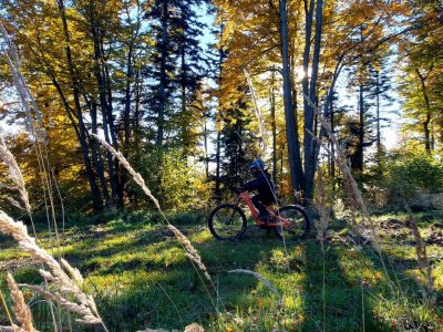 Galeria strona główna – Zdjęcie 26