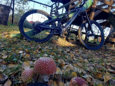 Galeria strona główna – Zdjęcie 31