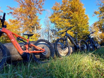 Galeria strona główna – Zdjęcie 32