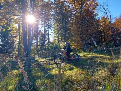 Galeria strona główna – Zdjęcie 30